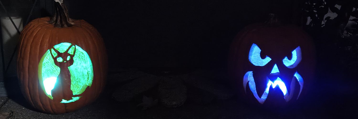 devilswill banner