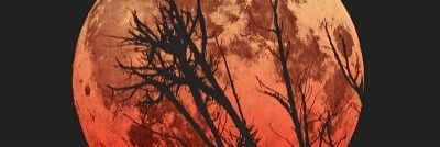 jesslong11151's profile banner image