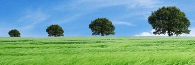 AAmouri5's profile banner image