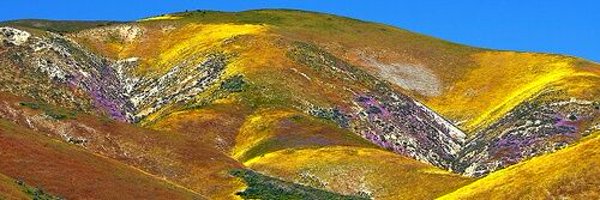 NudelHalbWeiner Profile Banner