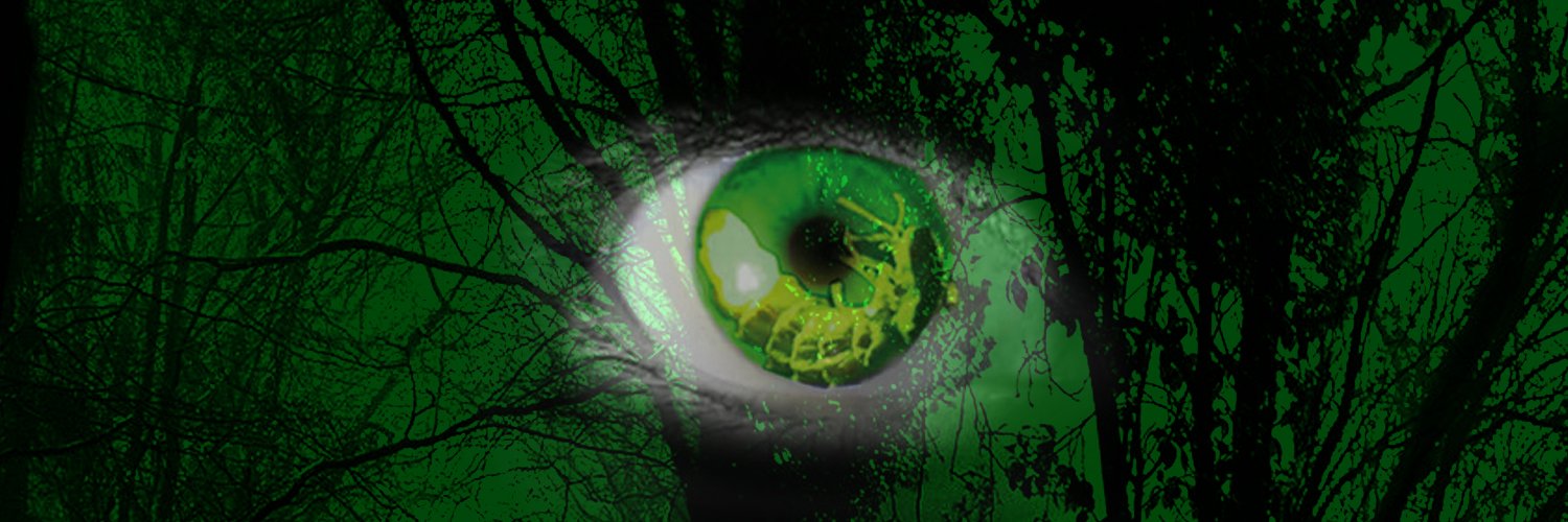 Karl_Den_Store's profile banner image