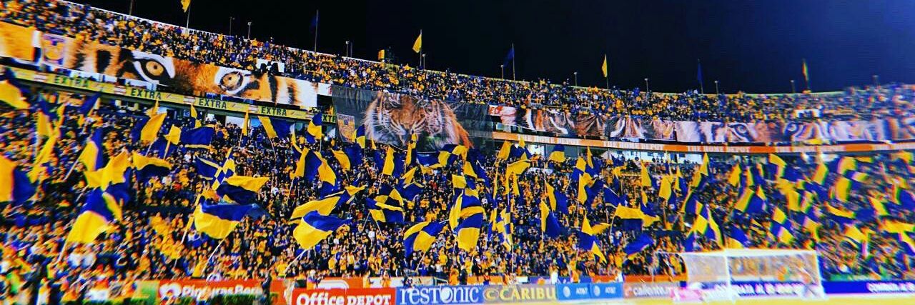 fernandomo11's profile banner image