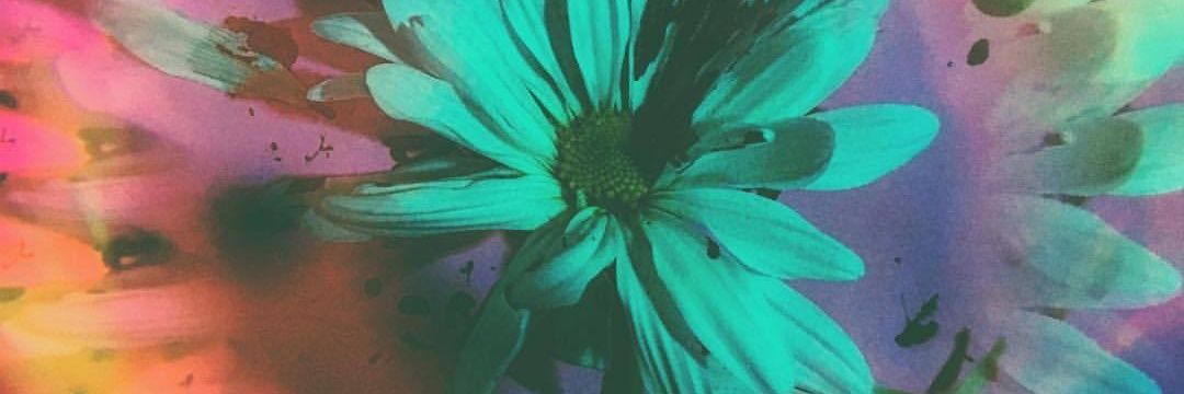 idaeri_'s profile banner image