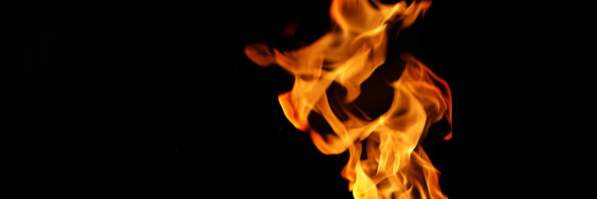 Sherezzade's profile banner image