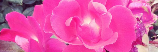 BthDavis84 Profile Banner