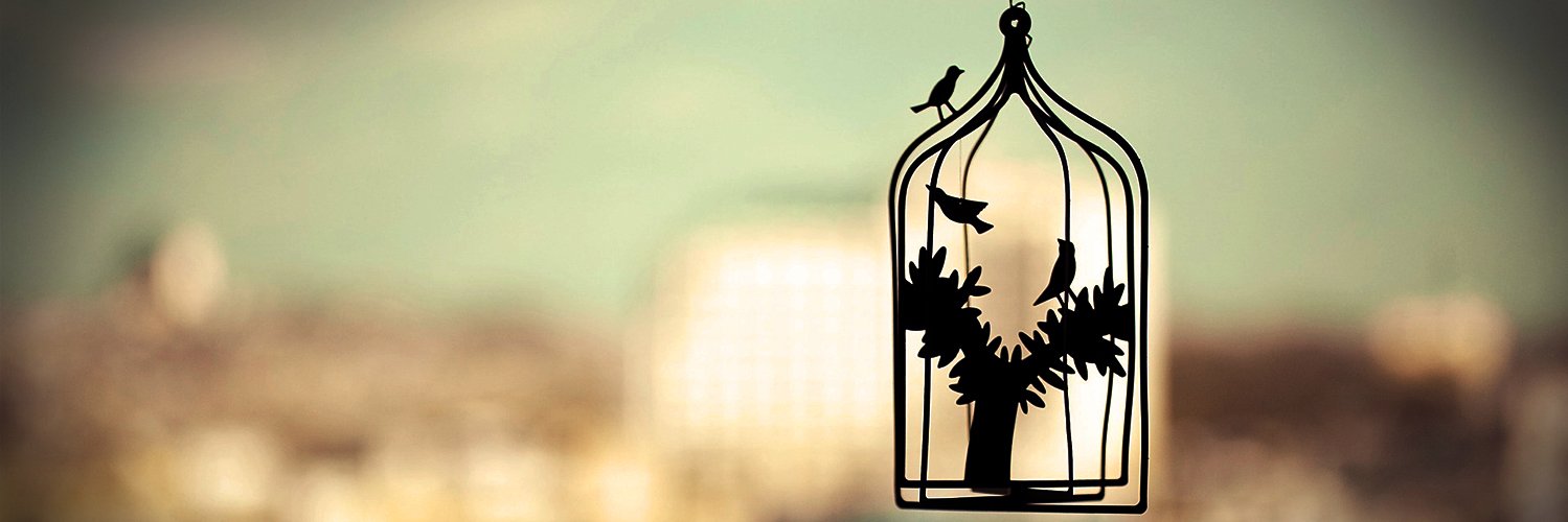 miirishing's profile banner image