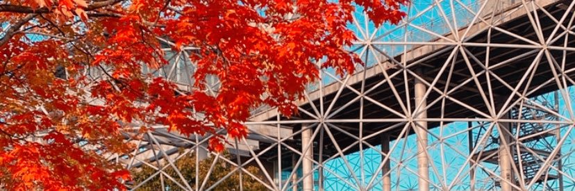 a_march's profile banner image
