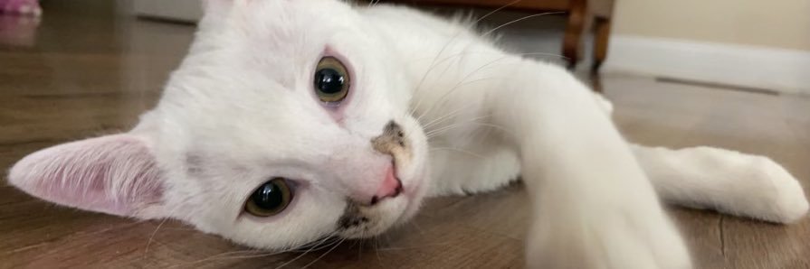 beeccaa_kay's profile banner image