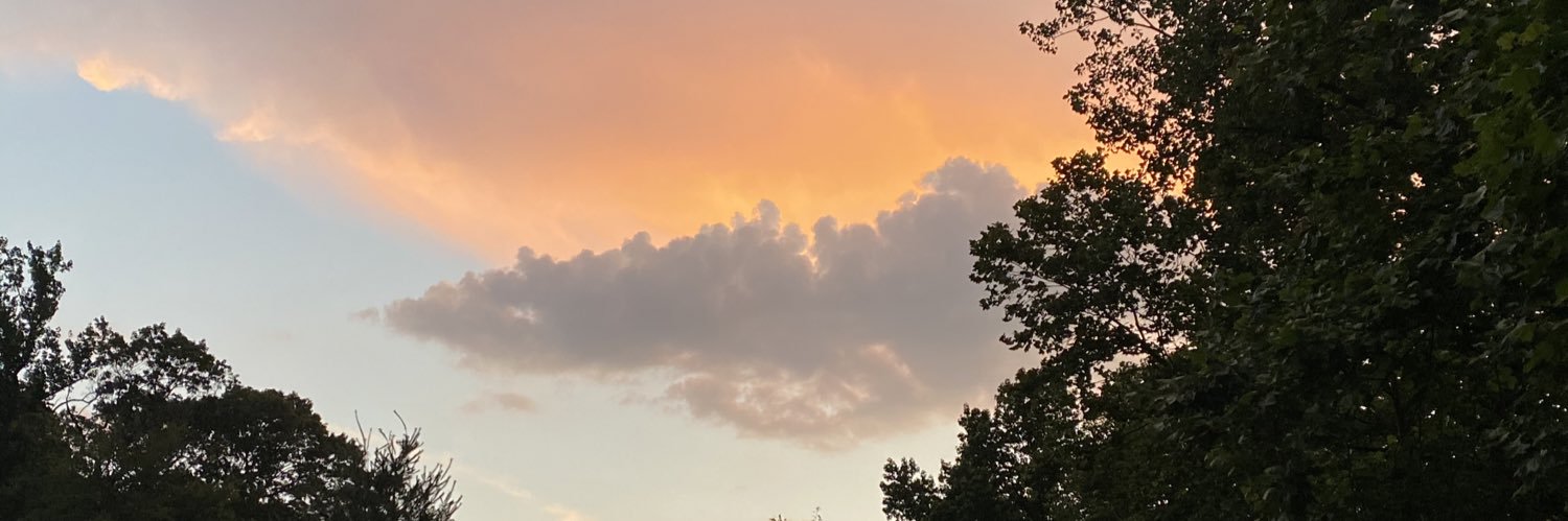 NKScherer's profile banner image