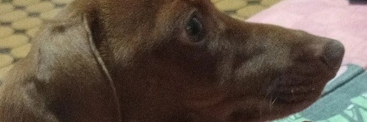 MarceeeGarciaa's profile banner image