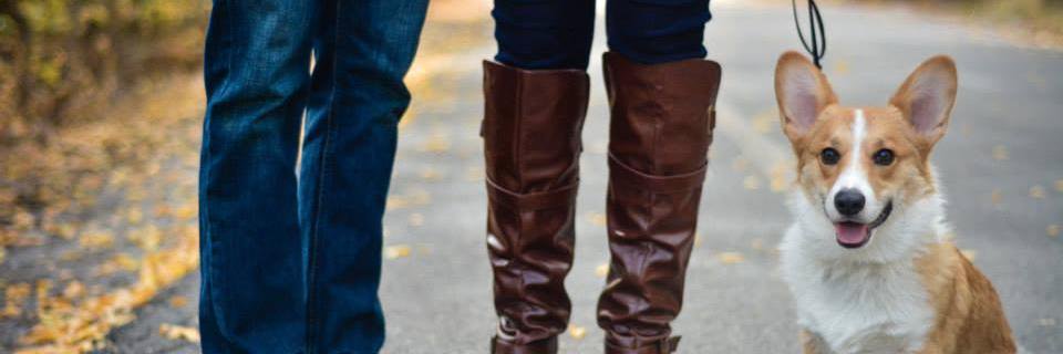 sariahmasterson's profile banner image