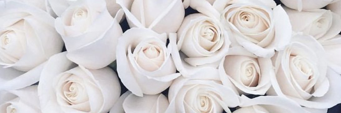 pariskrugg's profile banner image