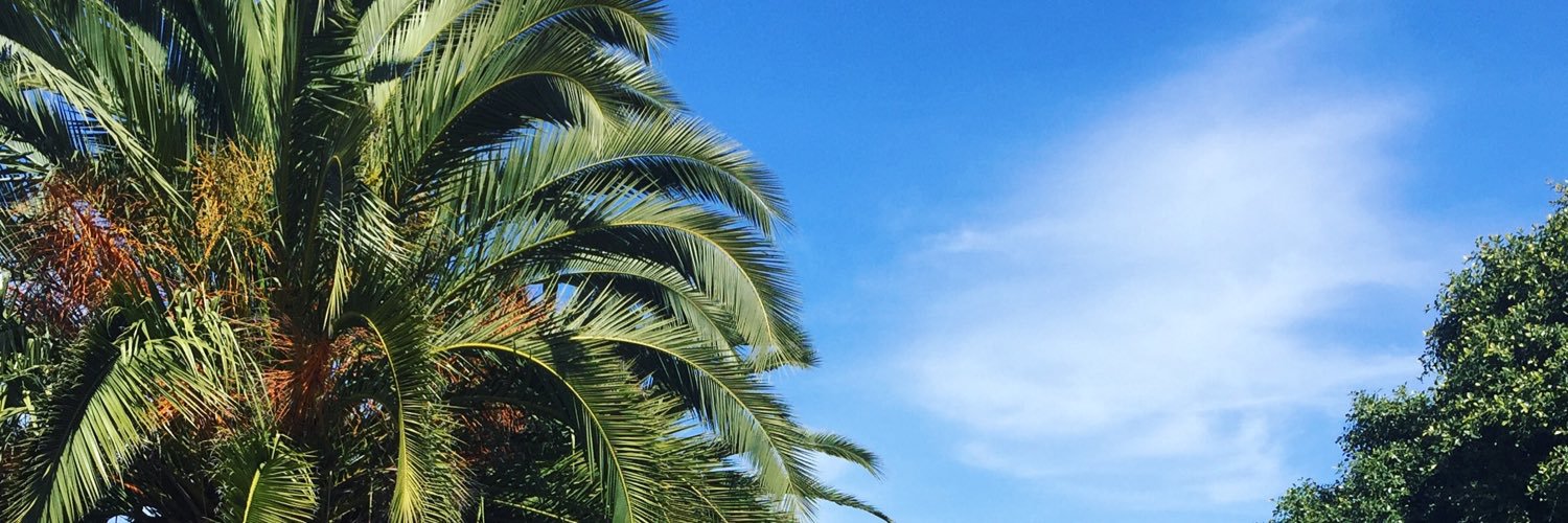 Lil_Rch's profile banner image