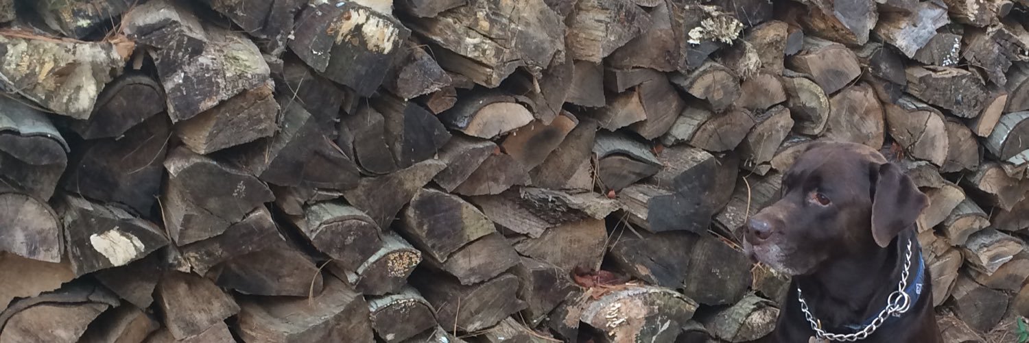 Mitch_Sgro's profile banner image