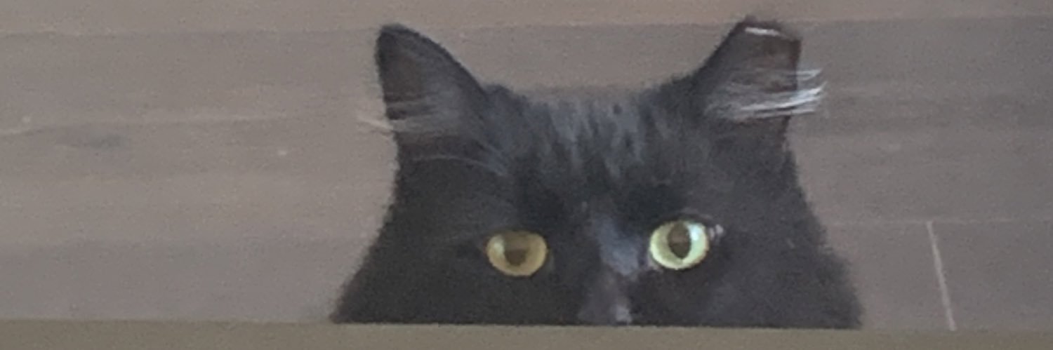 Cameron (gone to bluesky) banner