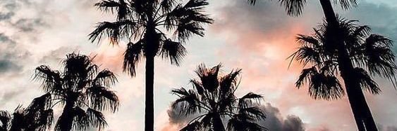 fernaandabl's profile banner image