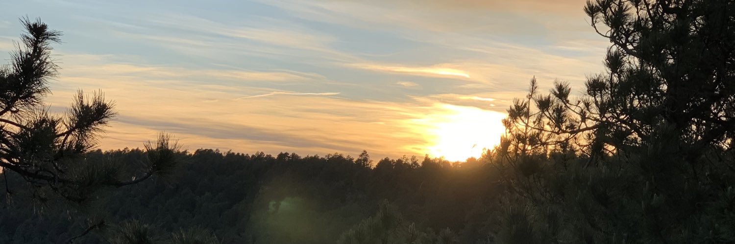 roxannenteran's profile banner image