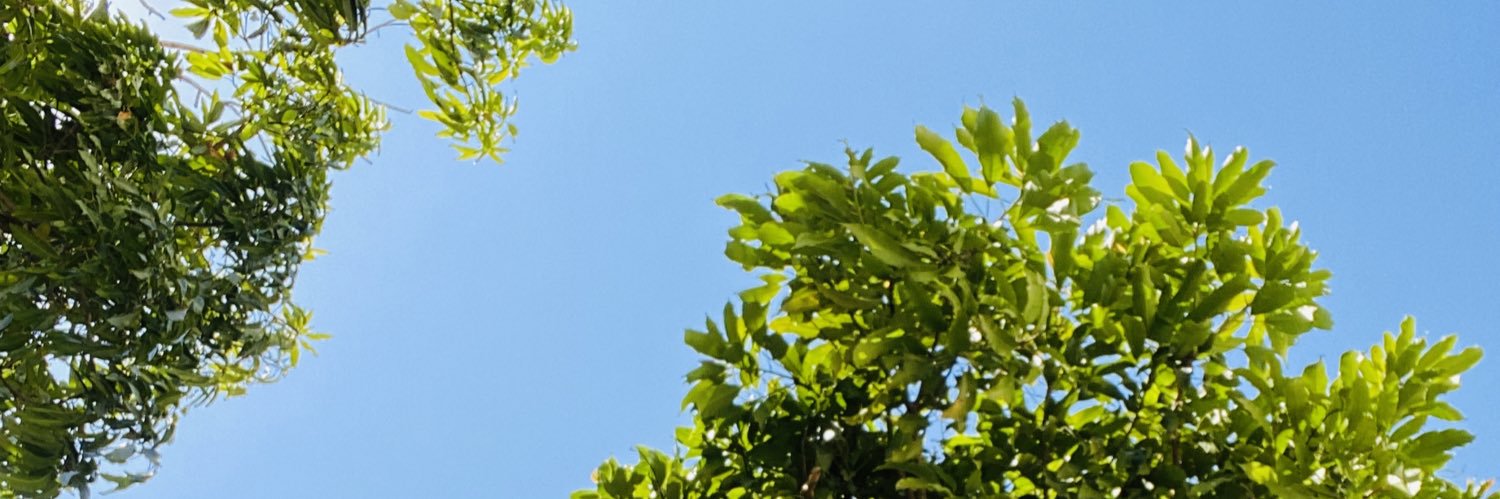 andreaabf's profile banner image