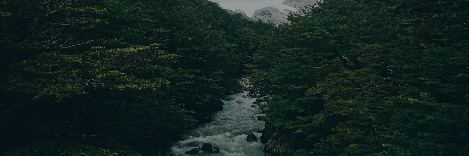 JardinesTerapeuticos banner