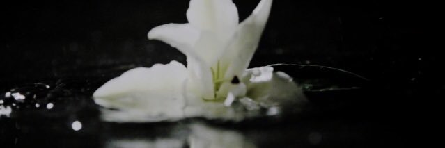 AlteredTenet's profile banner image