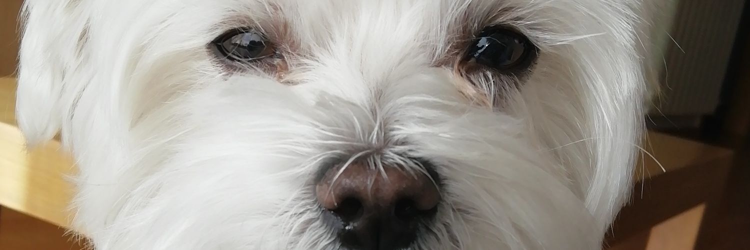paulseptt's profile banner image