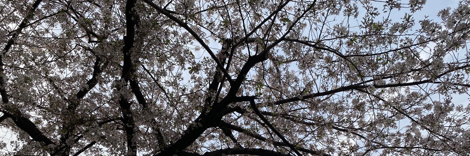 沙羅 banner