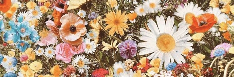alohapkm's profile banner image