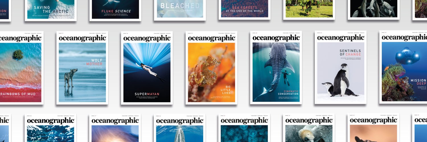 Oceanographic banner