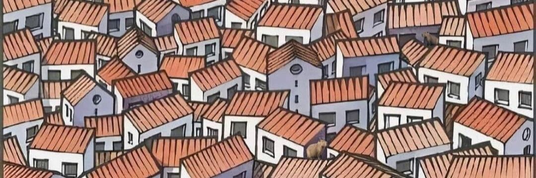 Psicocaio's profile banner image