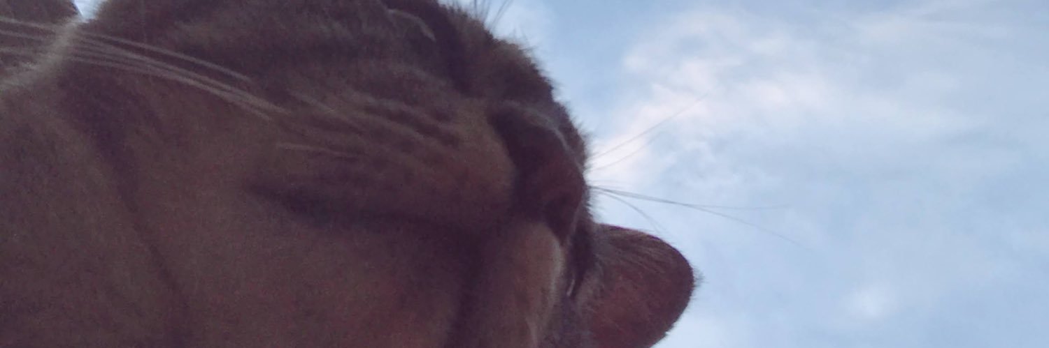 xxx96m's profile banner image