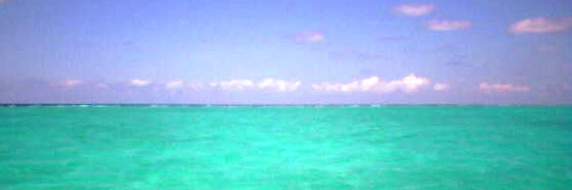 JoeGasperini's profile banner image