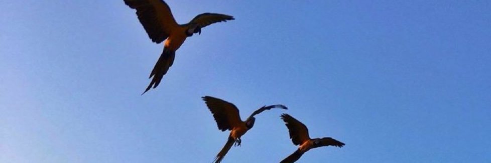 keilyarm's profile banner image