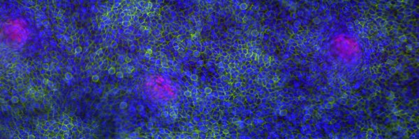 RendlLab Profile Banner