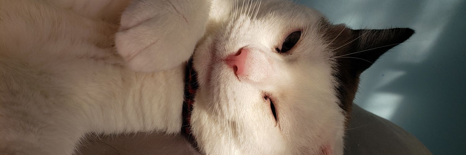 BeccaFlaa's profile banner image