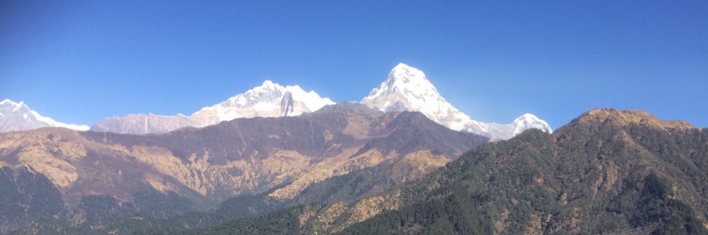 Jane Cheeseman banner