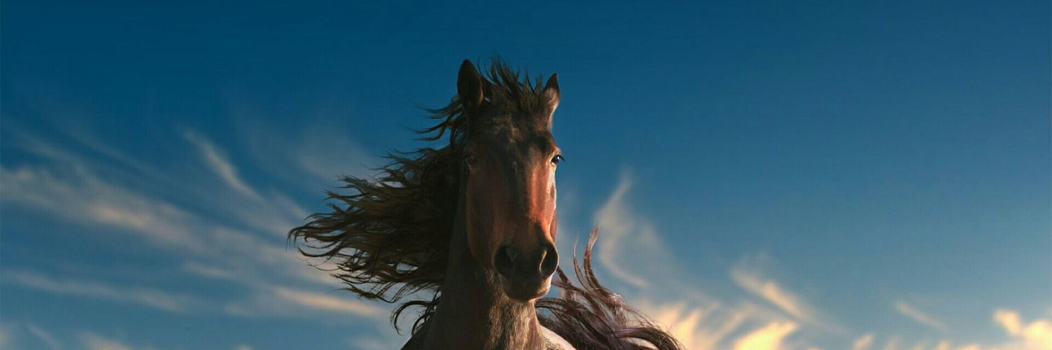 MarieeeeLouuuu's profile banner image