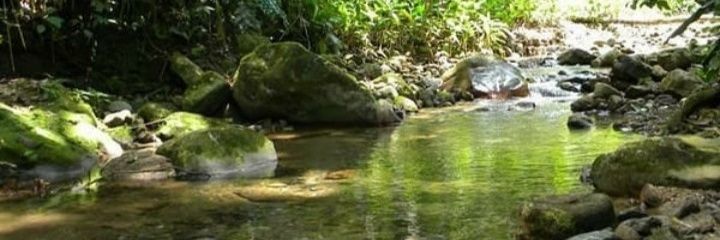 franchesco83's profile banner image