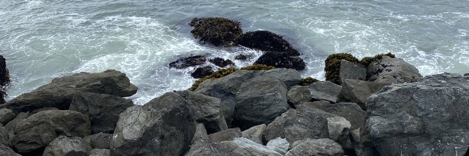 morganod_'s profile banner image