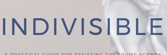 Indivisible SC 3 banner