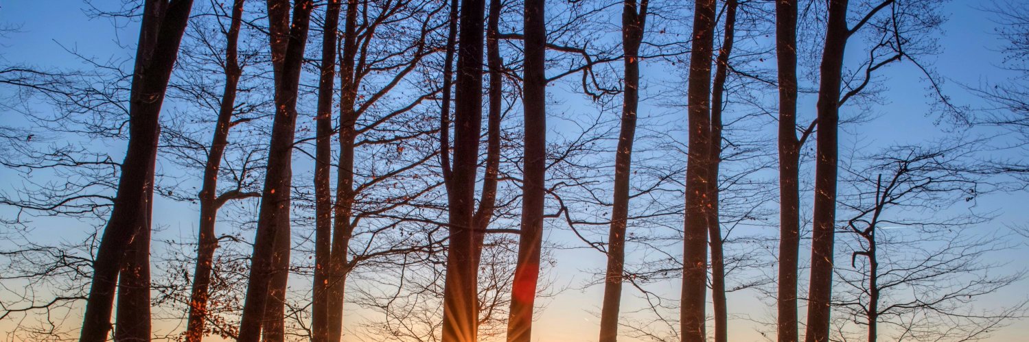 David Sánchez banner