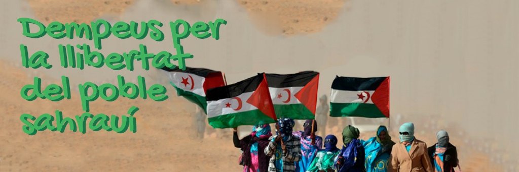 Sahara_dempeus banner