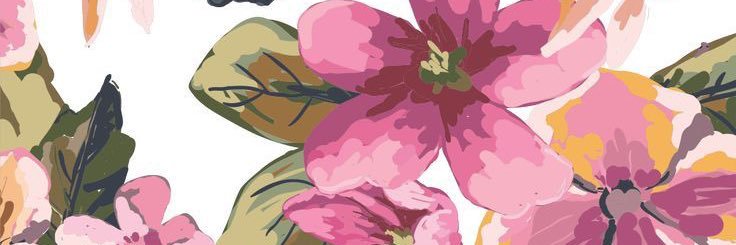 alaaaacc's profile banner image