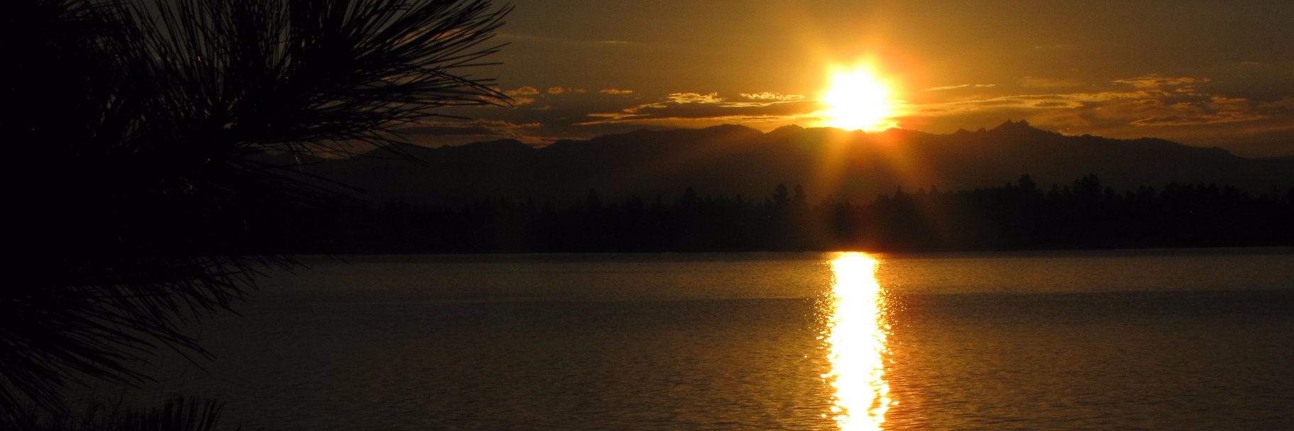 Saltheart Foamfollower banner