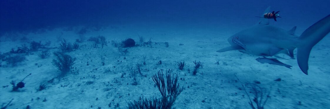 OceanEye banner