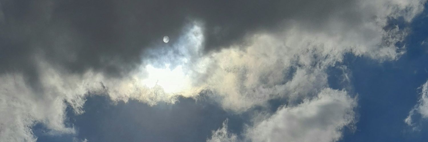 dandonishere's profile banner image