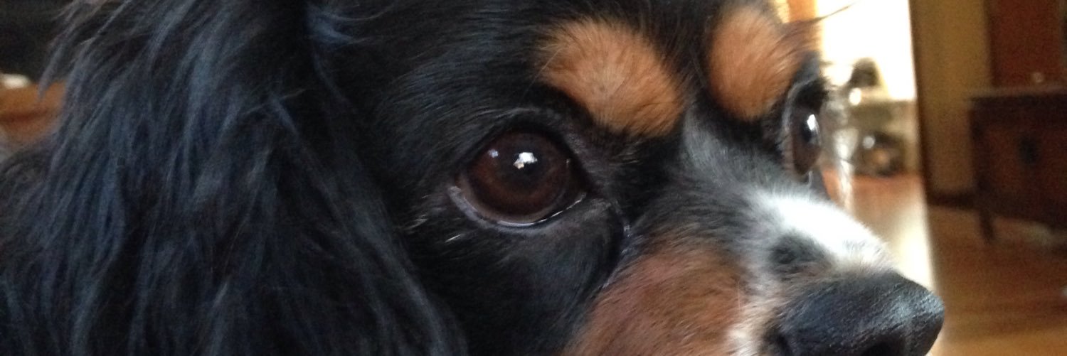 WhitleyBill's profile banner image