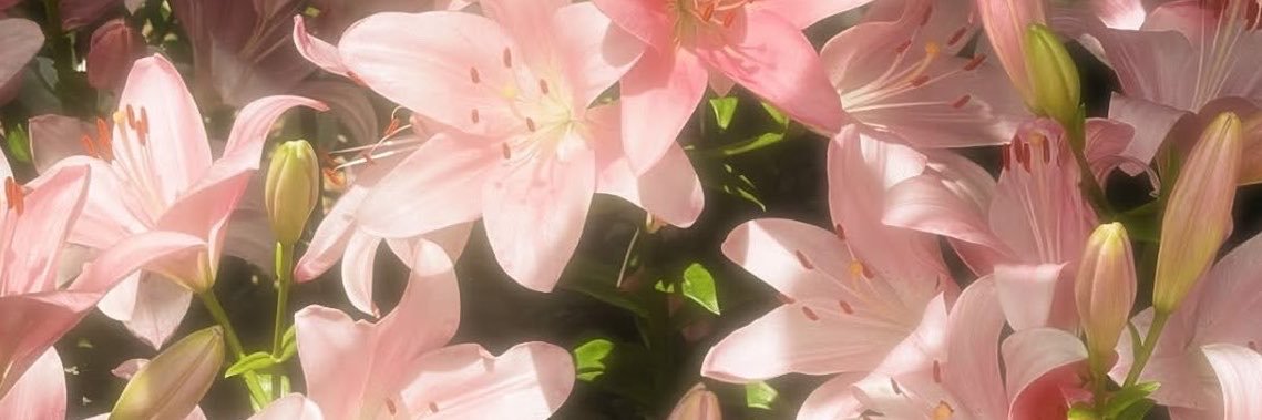 kthvvs_'s profile banner image