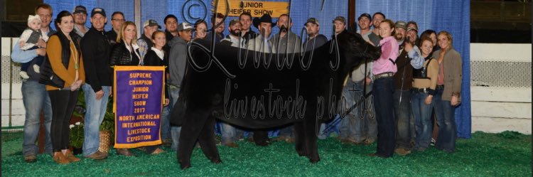 GsMeisner's profile banner image