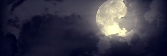wlaae313's profile banner image
