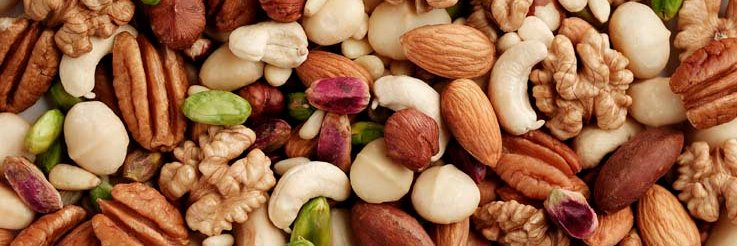 Randy Squirrel banner